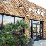 The Plot