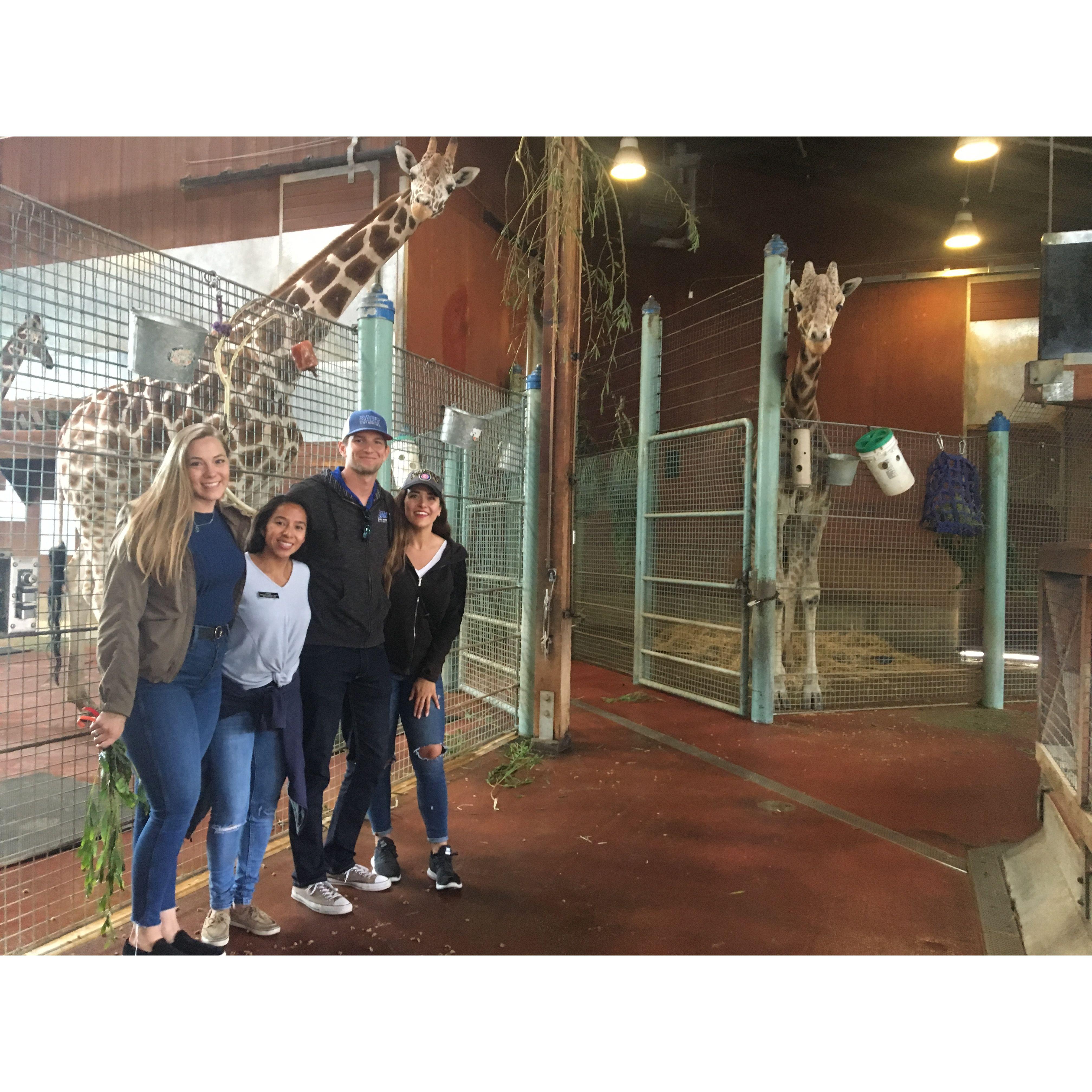 Behind the scenes at the SF Zoo feeding giraffes with Eridia and Sam 2019