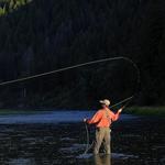 Steamboat Flyfisher (Fly Fishing)