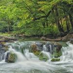 Eno River State Park