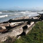 Fort Ebey State Park