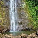 Manoa Falls