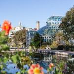 Brooklyn Botanic Garden
