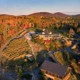 Wolf Mountain Vineyards