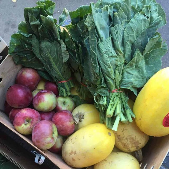Donate - FoodForFree.org