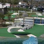 Manatawny Green Mini Golf