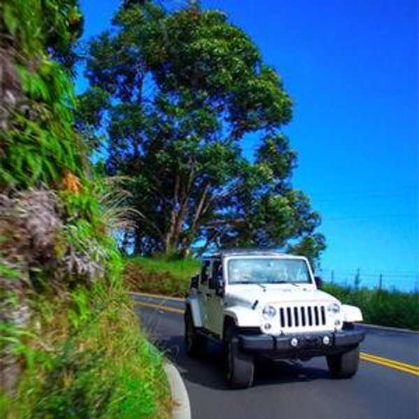 Honeymoon car rental