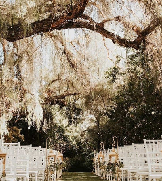 The Wedding Website of McGuire Dyer and Brian Dyer