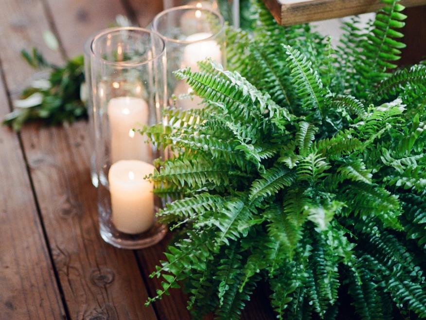 The Wedding Website of Jessica Pederson and Kyle Willman