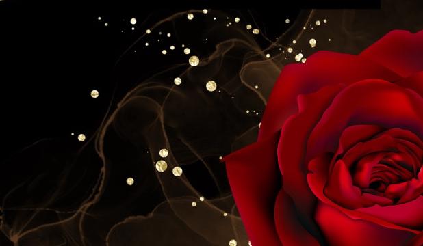 Footer image