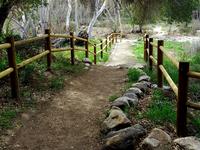Dripping Springs Trailhead Hike