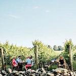 Newport Vineyards & Restaurant