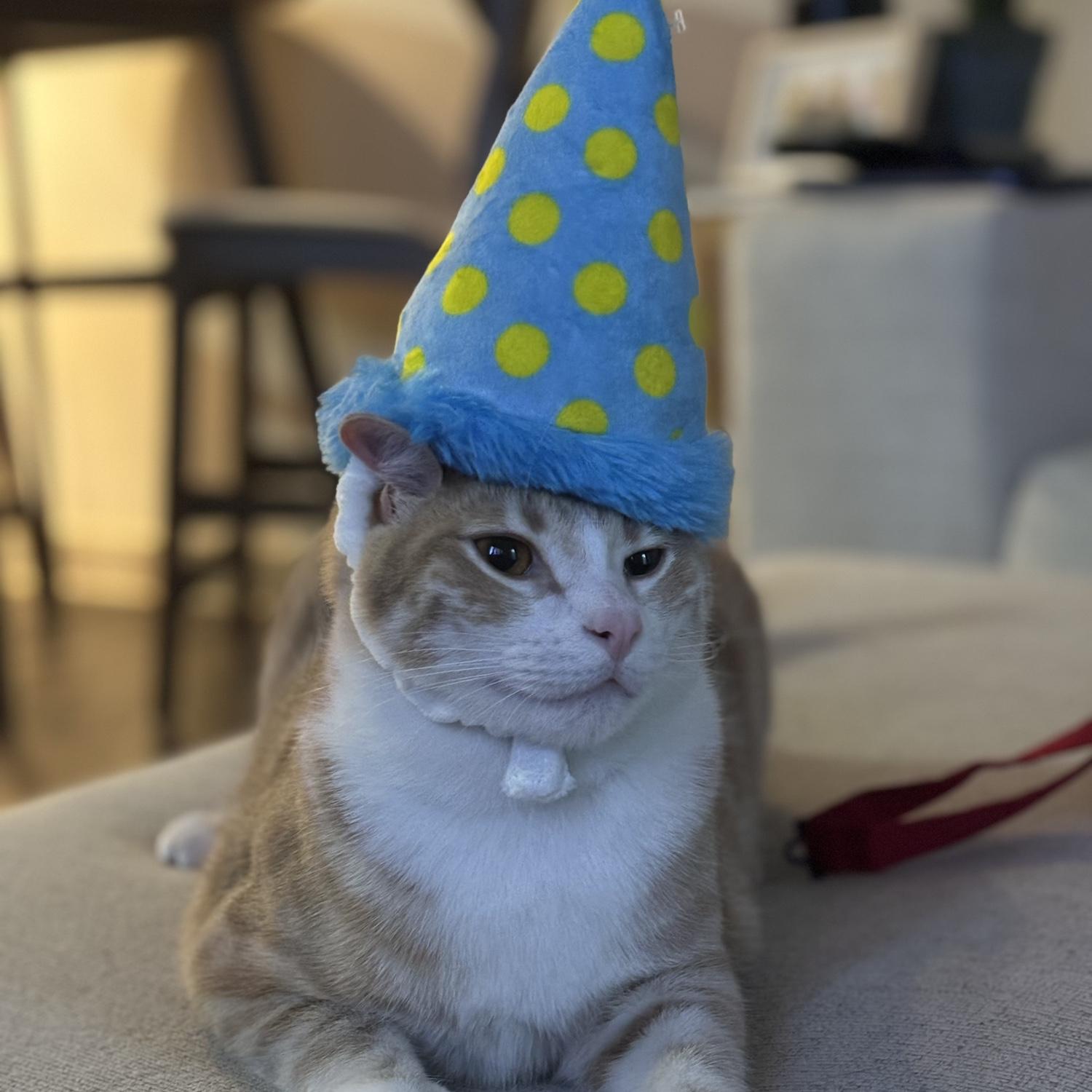 Yasus first birthday!