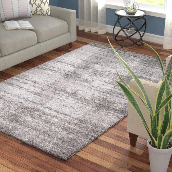 Croslin Gray Area Rug