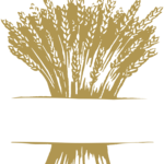 The Grain Shed
