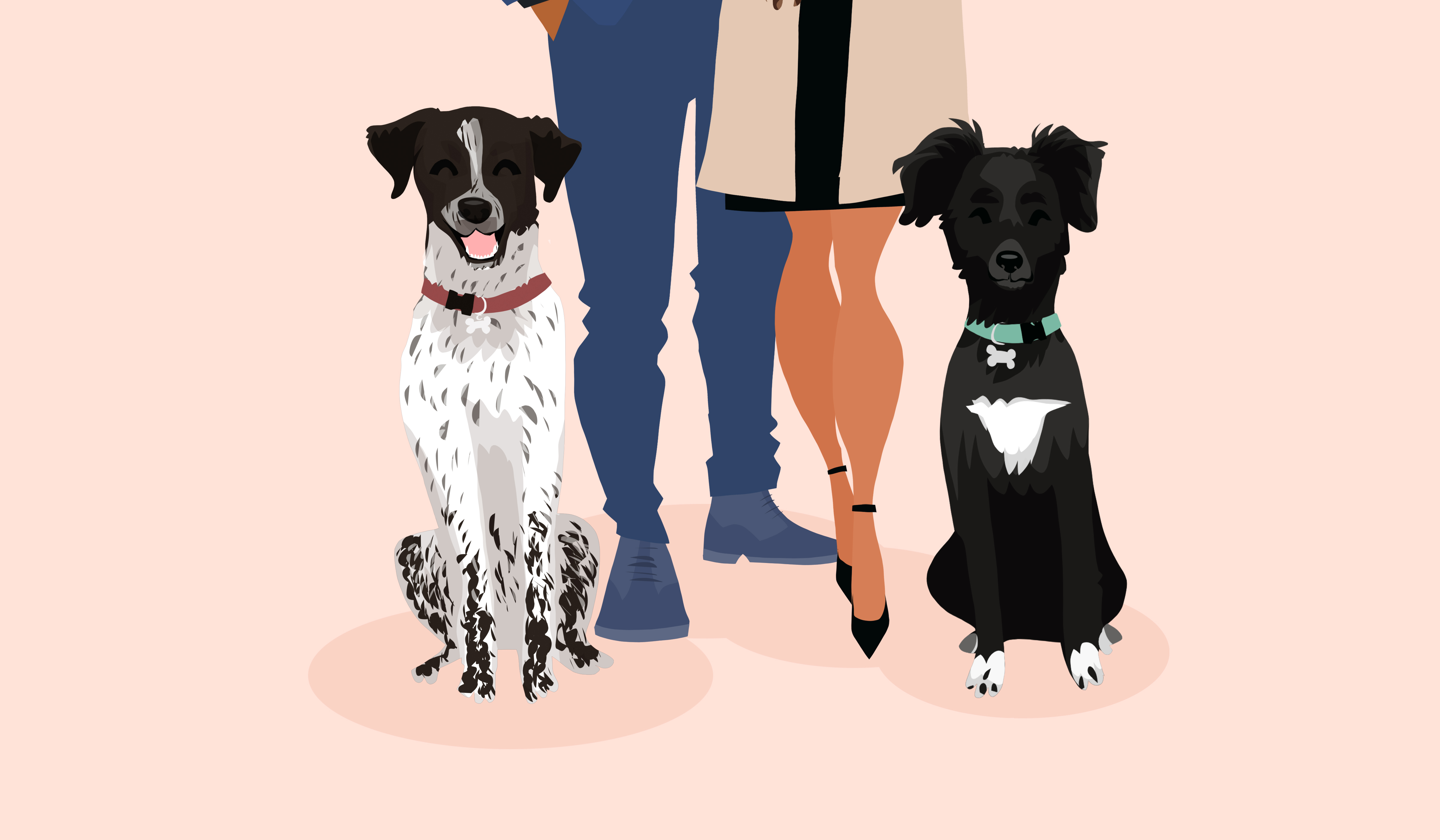 Footer image