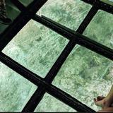 Glass-bottom Boat Tour