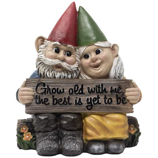 Romantic Gnome Couple Figurine on Log Bench with Sign Reading "Grow old with me, the best is yet to be" for Romantic Anniversary Gifts for Wife or Women's Gift Ideas for Sweetest and Valentine's Day