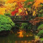Portland Japanese Garden