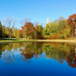 Schenley Park