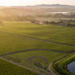 Wine Tasting in Russian River Valley