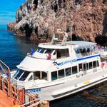 Channel Islands National Park