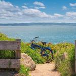 Cape Cod Rail Trail