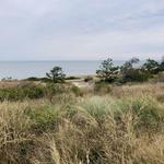 Cape Henlopen State Park