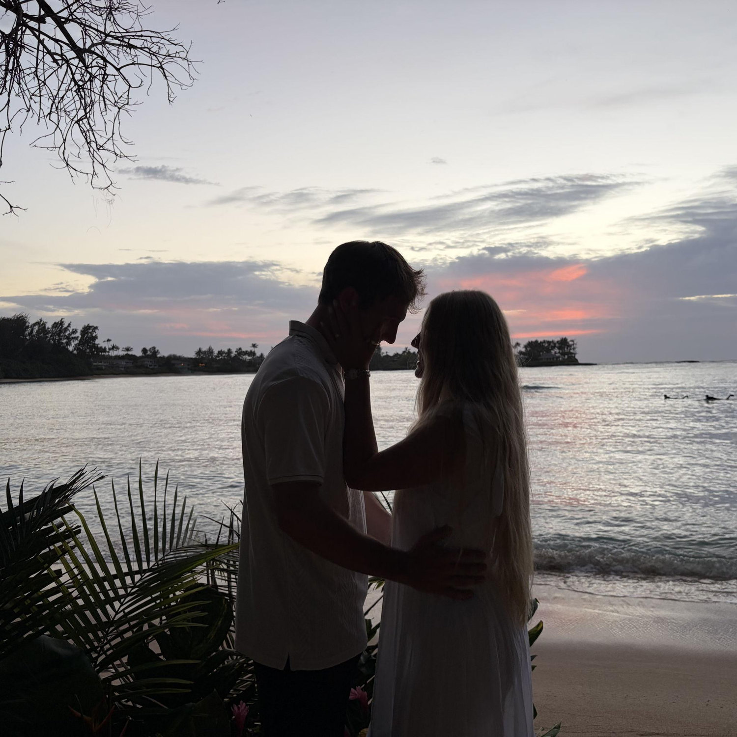 Hawaii proposal