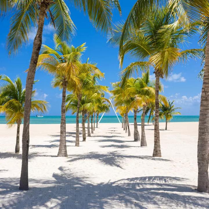 Our honeymoon fund to Cozumel🫶🏼CREDIT CARD