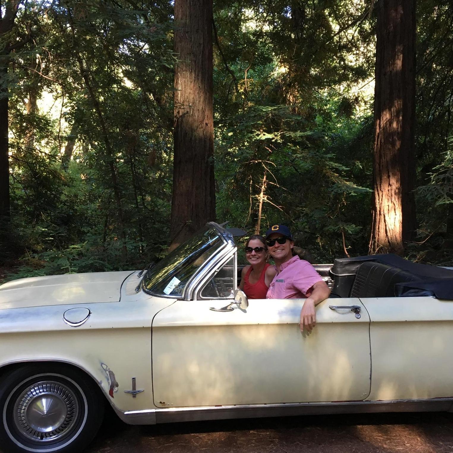 Samuel Taylor State Park