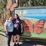 Monarch Butterfly Grove