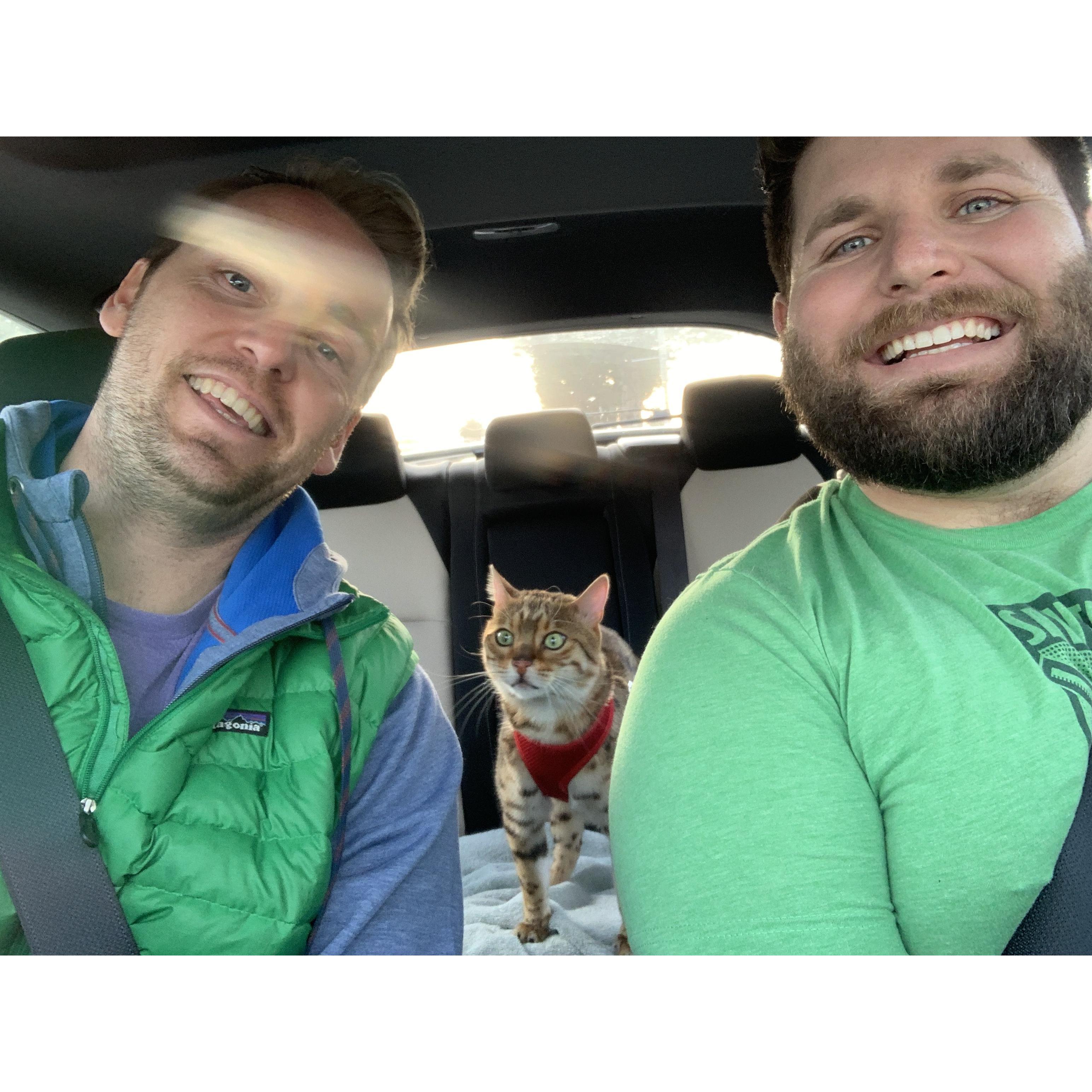 Kitty Car Ride