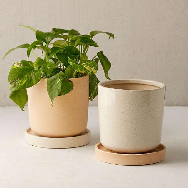 Parker 6" Planter + Drainage Tray Set