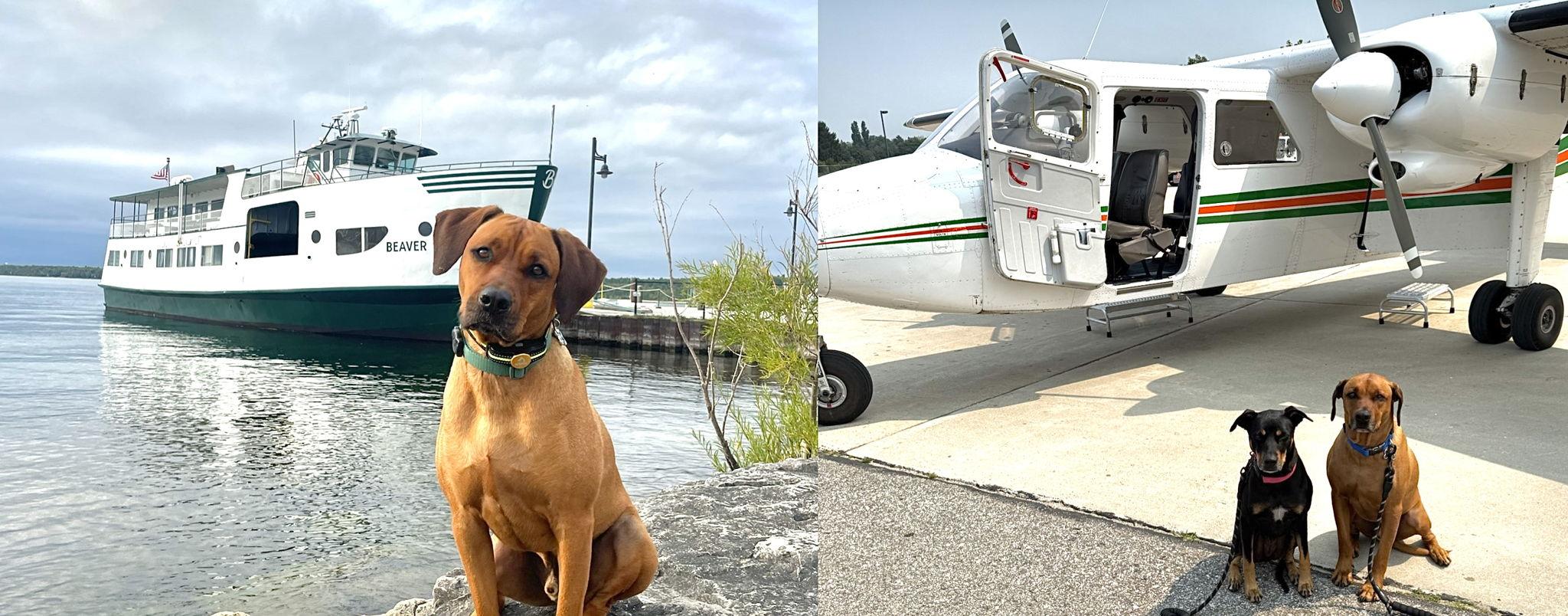 The Wedding Website of Alex Proly and Jillian Chiesa