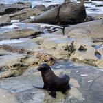La Jolla Beach