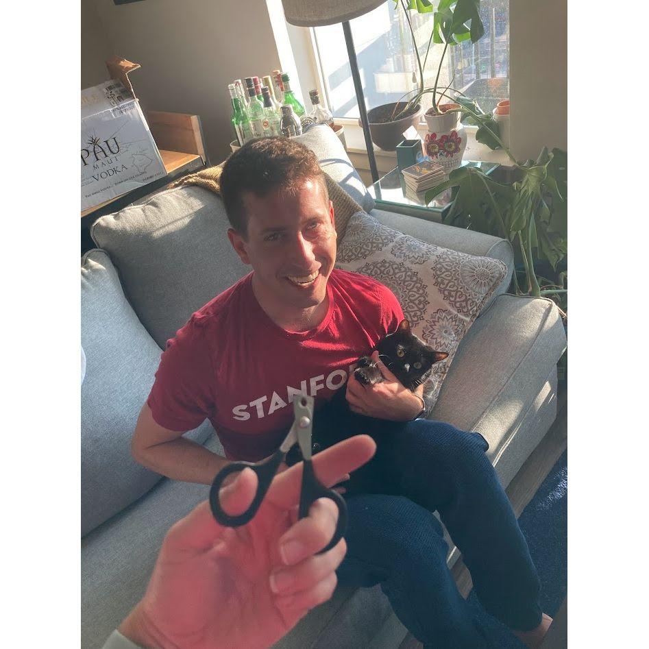 Olive Cat's least favorite activity: Cat Manicure. (Doug's not really a cat person)