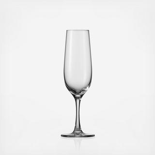Valore Champagne Flute, Set of 6