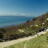 Discovery Park
