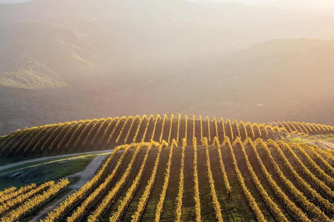 The Wedding Website of Shelby McMillin and Dylan Droege