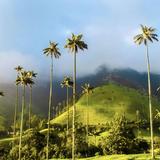 Salento and Valle del Cocora