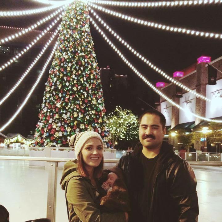 Disneyland Christmas
