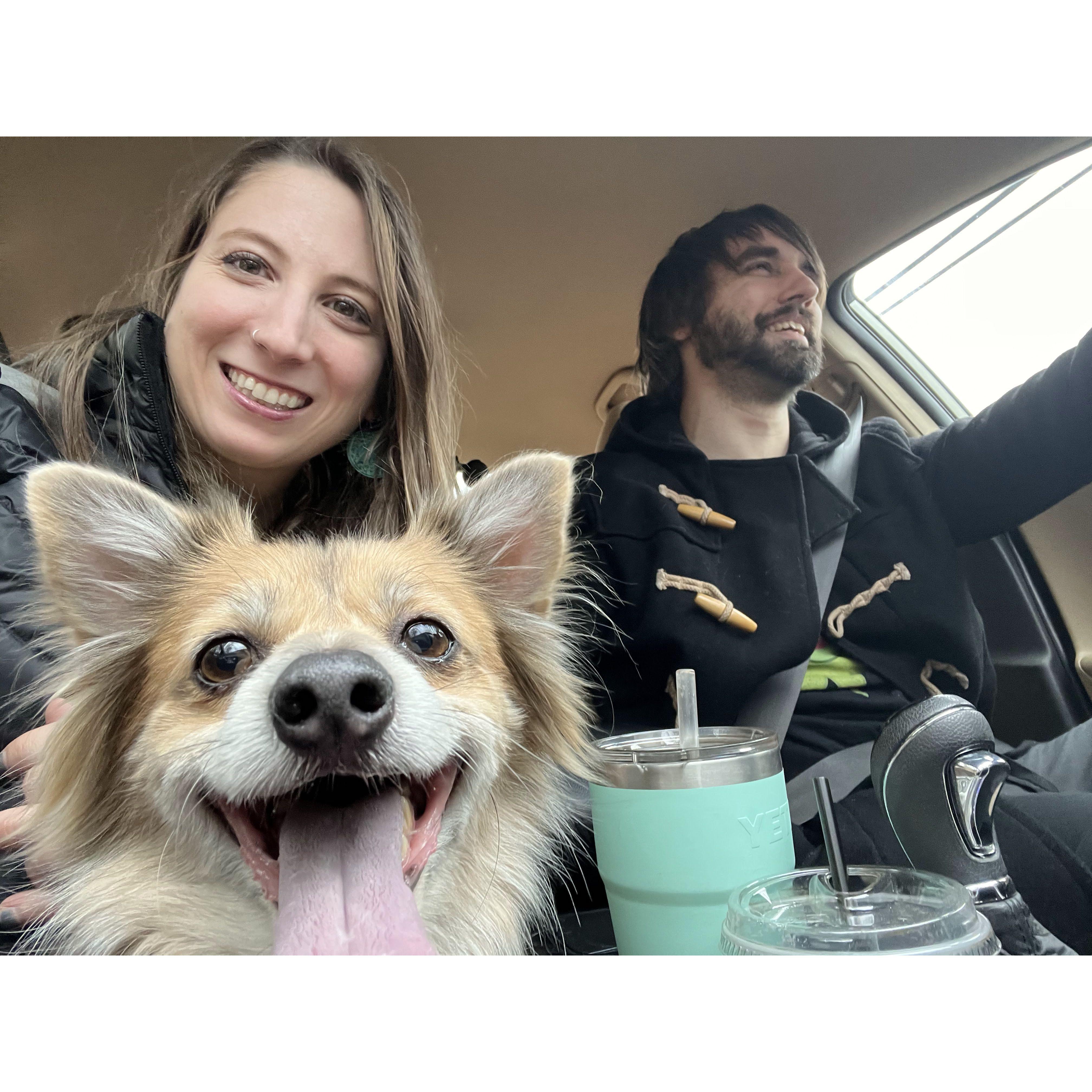 Family trip to the dog park :)