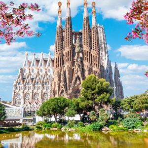 Dinner or Excursion in Barcelona, Spain