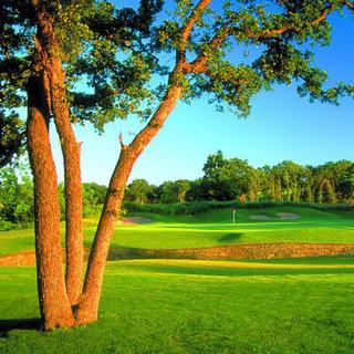 Golf Lesson for 2 - Euless, TX