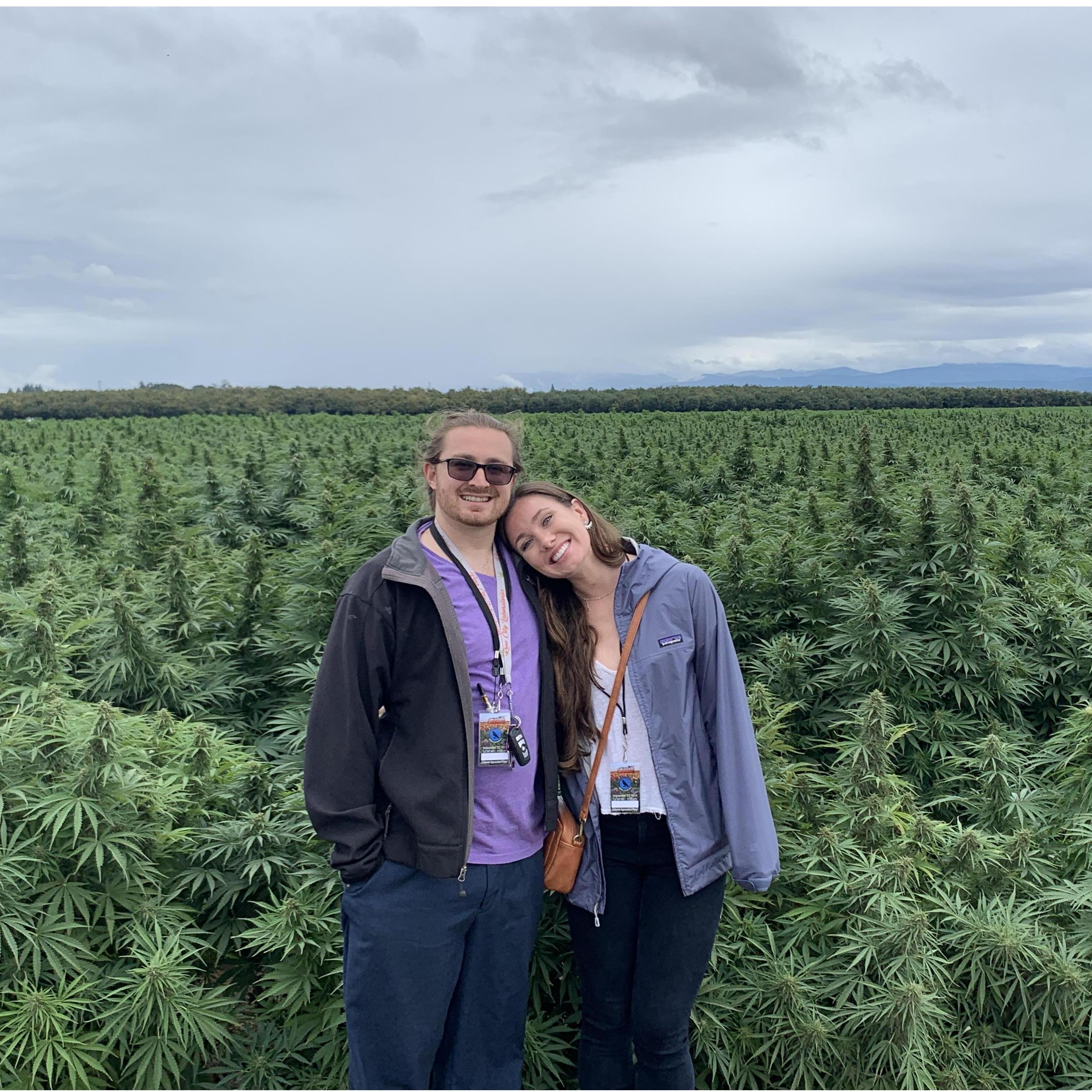 Hemp field exploring