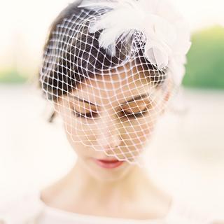 Lila Birdcage Veil