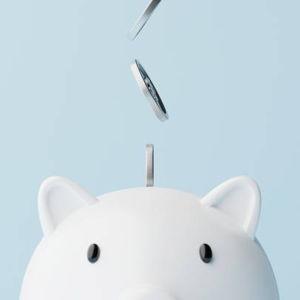 Savings Fund