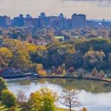 Forest Park
