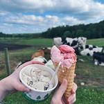 Howling Cow Dairy Education Center and Creamery